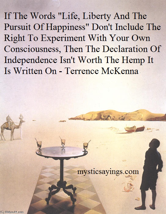 terrence-mckenna-2